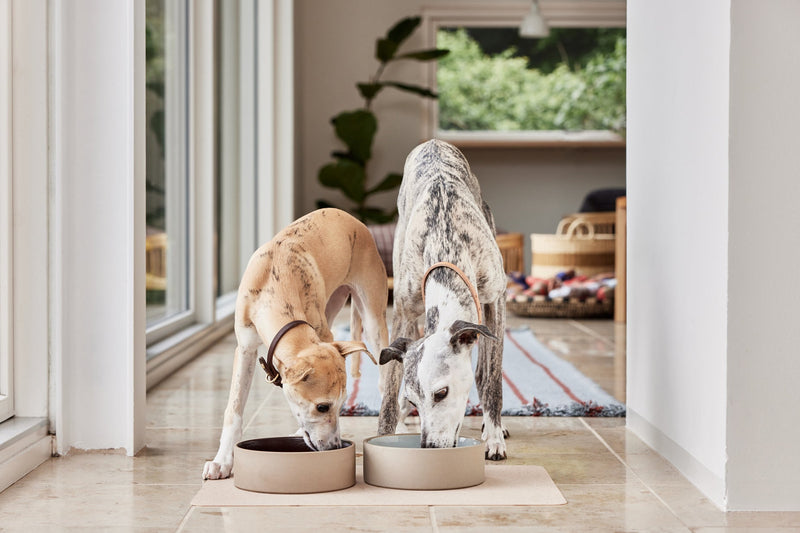 media image for sia dog bowl large 11 279