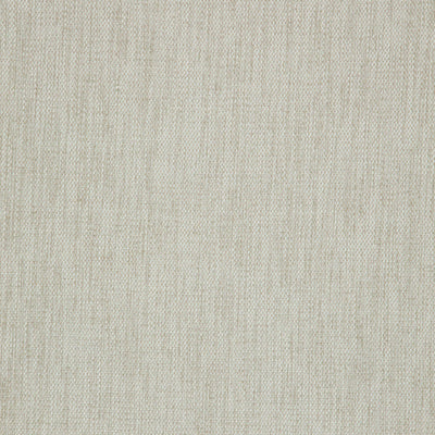 product image of Sample Paradise Fabric in Light Sage Green 598