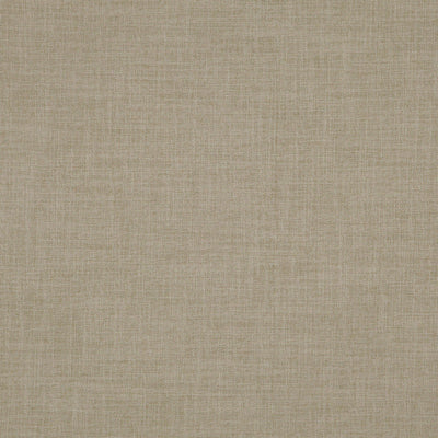product image of Player Fabric in Soft Sage 577
