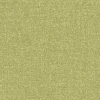 product image of Sample Polished Fabric in Pear Green 57