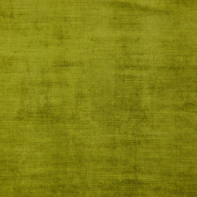 product image of Sample Posh Fabric in Green 55