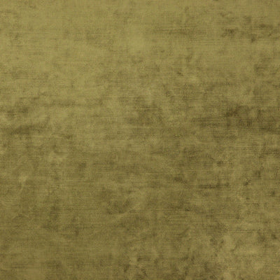 product image of Sample Posh Fabric in Green 55