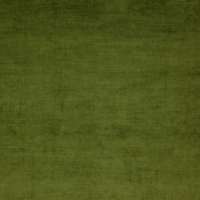product image of Sample Posh Fabric in Green 577