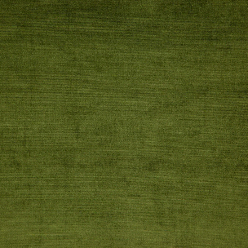 media image for Sample Posh Fabric in Green 281