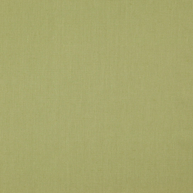media image for Sample Prague Fabric in Green 258