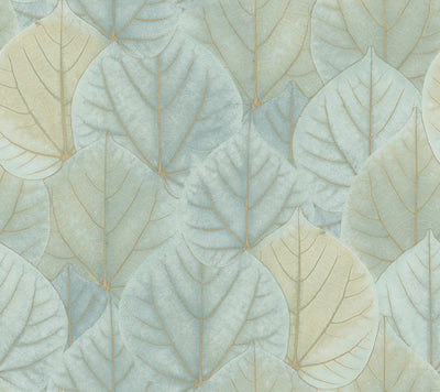 product image of Leaf Concerto Turquoise Peel & Stick Wallpaper by Candice Olson 573