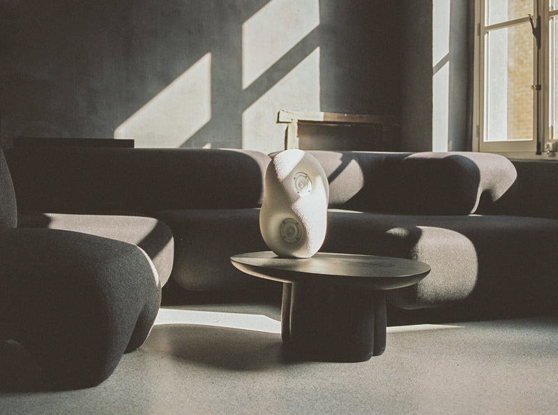 media image for acoustic sculpture speaker by transparent 18 29