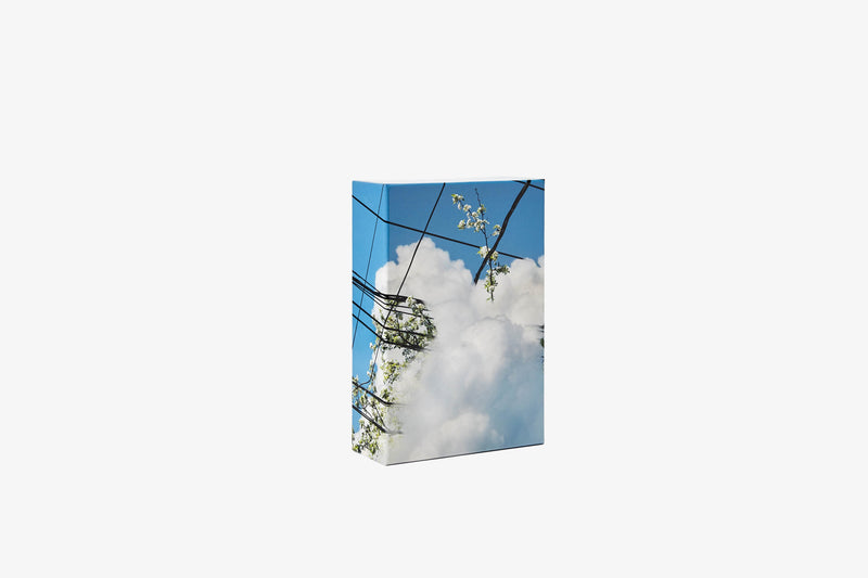 media image for Puzzle in Puzzle 21