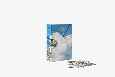 product image for Puzzle in Puzzle 24