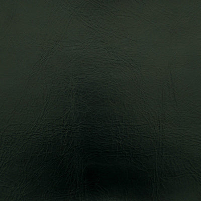 product image of Sample Rodeo Fabric in Deep Teal 560
