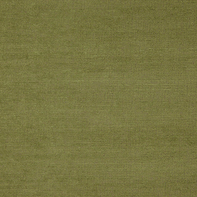 product image of Sample Scarlett Fabric in Green 580