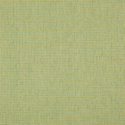 product image of Sample Sentence Fabric in Lime Green 511