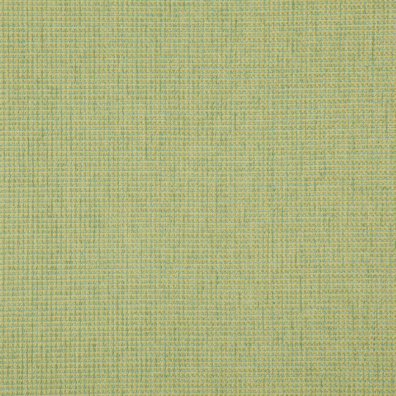 media image for Sample Sentence Fabric in Lime Green 296