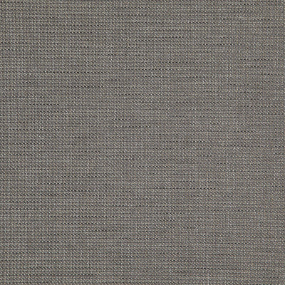 product image of Sample Sentence Fabric in Elephant Grey 557