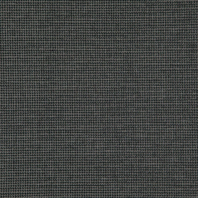 product image of Sample Sentence Fabric in Black 587