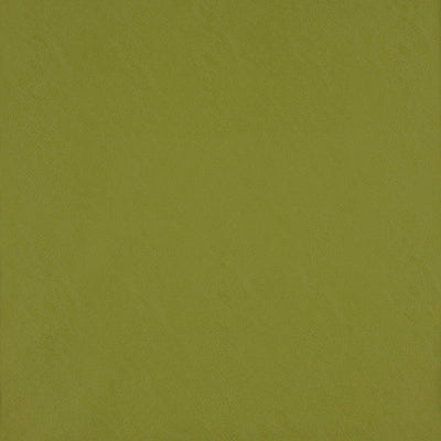 product image of Simplicity Fabric in Green 551