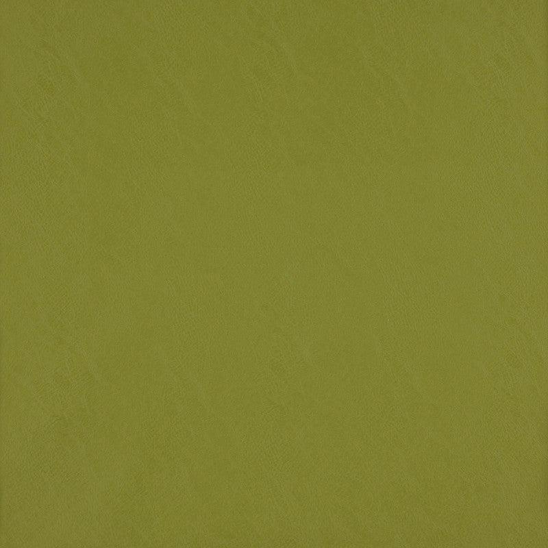 media image for Simplicity Fabric in Green 217