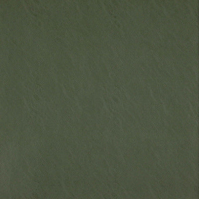 product image of Sample Simplicity Fabric in Green 547
