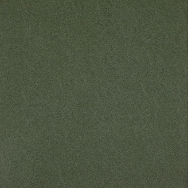 media image for Sample Simplicity Fabric in Green 230