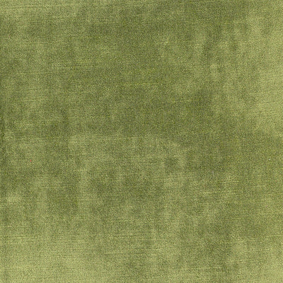 product image of Sample Sophia Fabric in Green 516