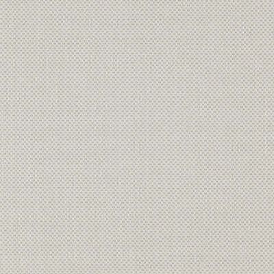 product image of Sample Stern Fabric in Creme/Beige 562
