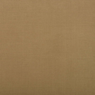 product image of Sample Survivor Fabric in Soft Sage 510