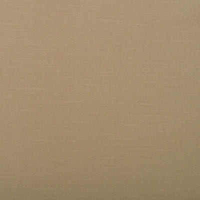 product image of Sample Survivor Fabric in Light Taupe 518