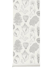 Shells Wallpaper in Off-White by Katie Scott for Ferm Living