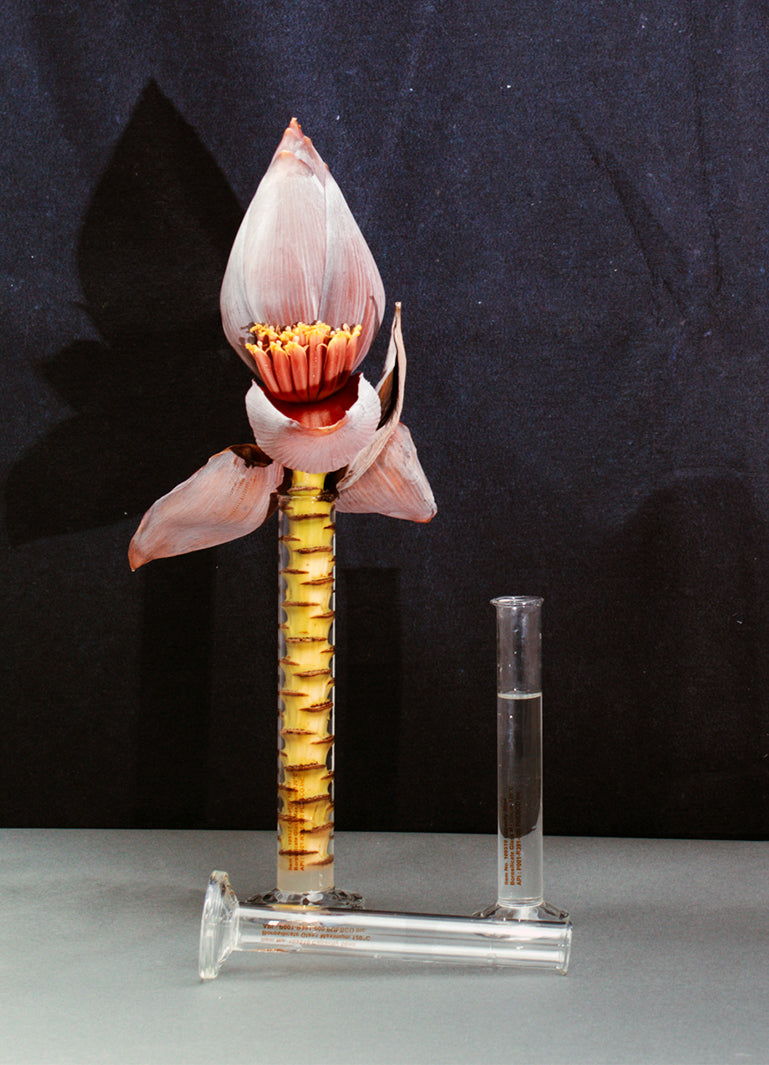 media image for single flower vase 10 290