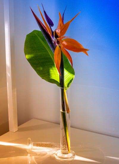 product image for single flower vase 13 45