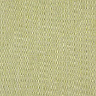product image of Sample Tahoe Fabric in Pear Green 554