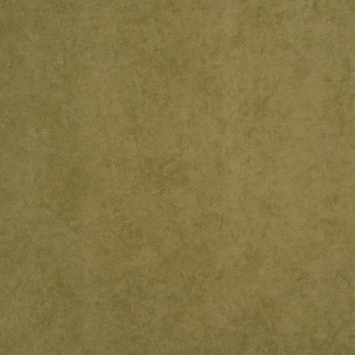 product image of Sample Thornhill Fabric in Green 527