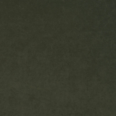 product image of Sample Thornhill Fabric in Green 539