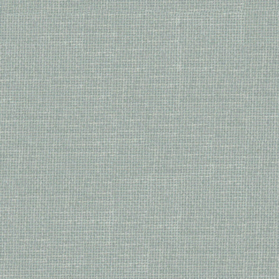 product image of Sample Tofino Fabric in Pale Green 595