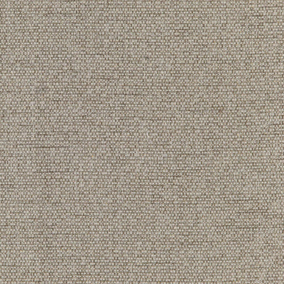product image of Sample Tough Fabric in Brown 595