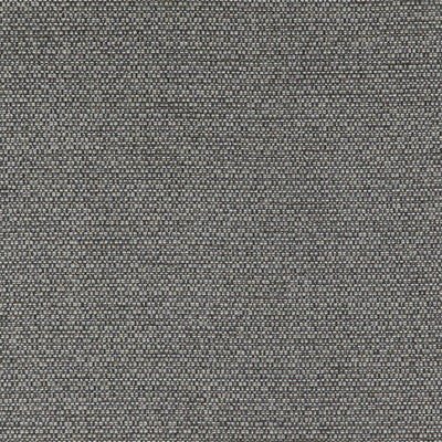 product image of Sample Tough Fabric in Black 566