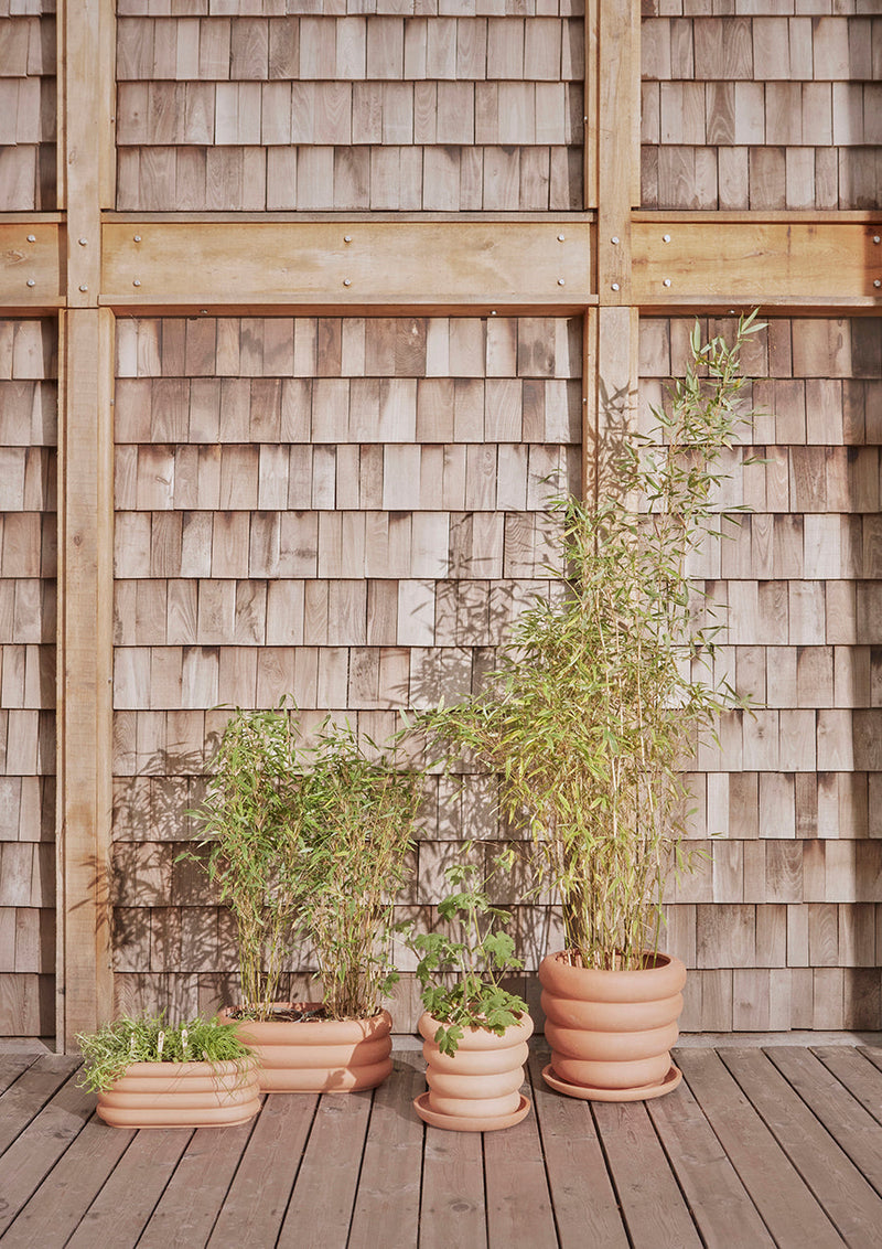 media image for terra pot saucer 6 221