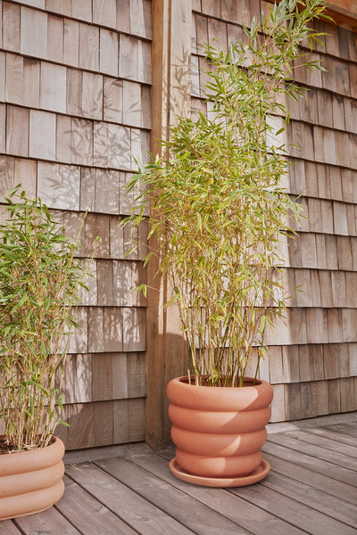 product image for terra pot saucer 3 63