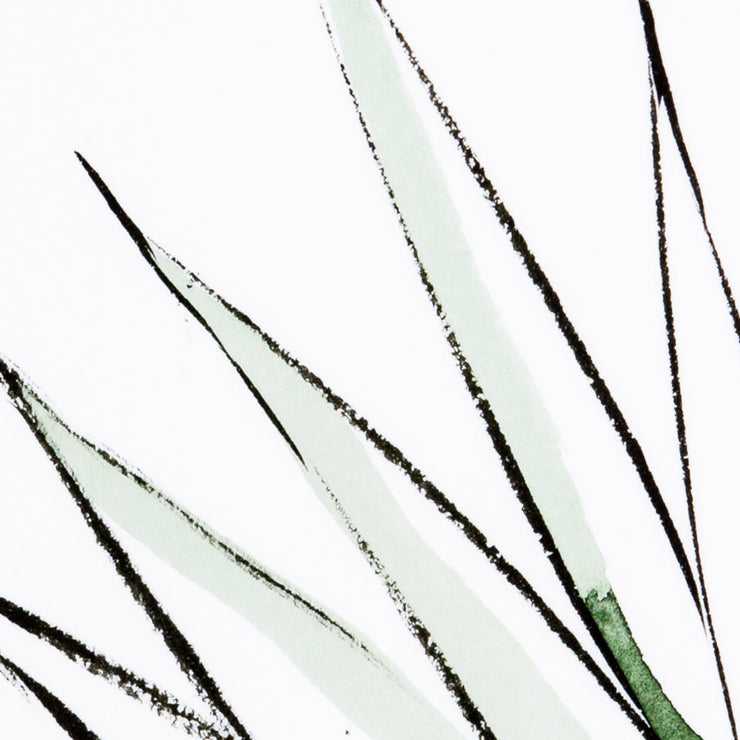 Agave Crop By Jess Engle Wall Art