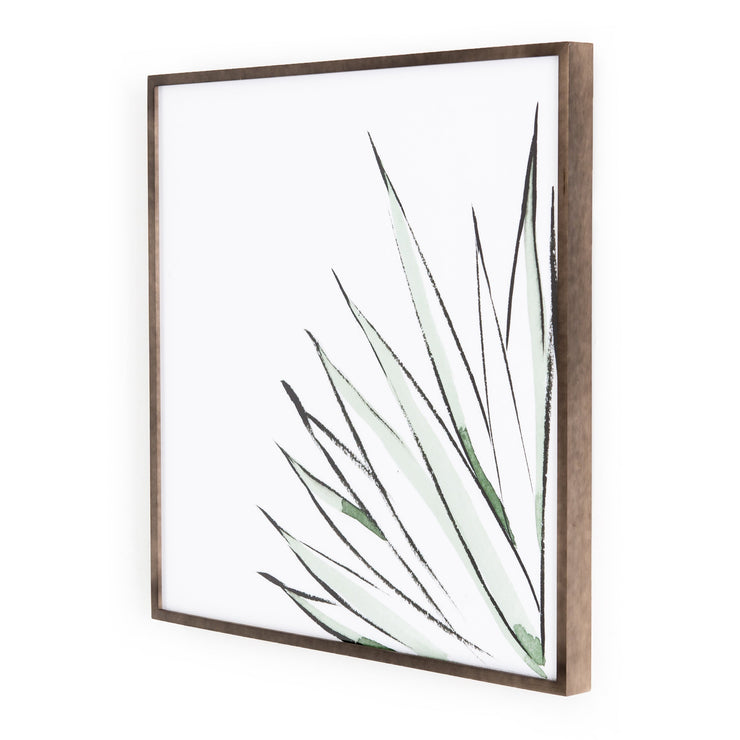 Agave Crop By Jess Engle Wall Art