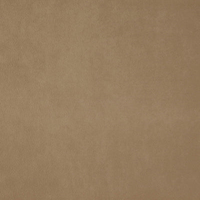 product image of Sample Wisdom Fabric in Brown 582