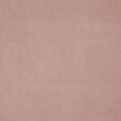 product image of Sample Wisdom Fabric in Pink 541