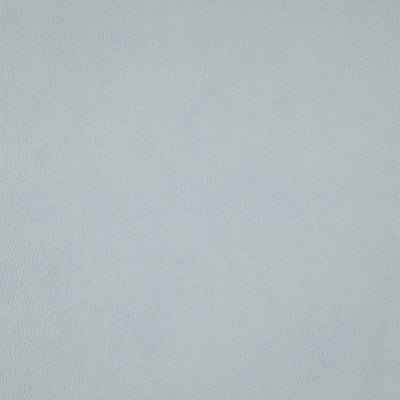 product image of Sample Wisdom Fabric in Blue 56