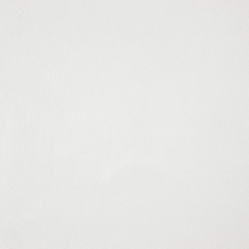 media image for Sample Wisdom Fabric in Creme/Beige/Off-White 275