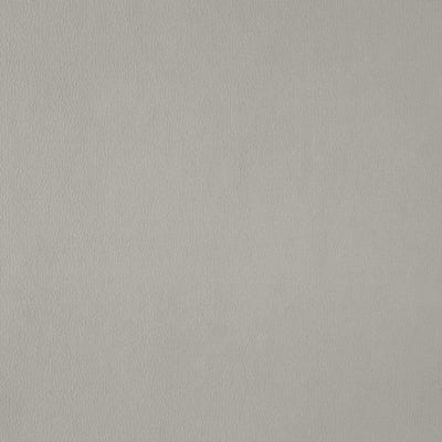 product image of Wisdom Fabric in Creme/Beige 59