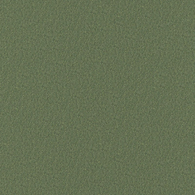 product image of Sample Woolish Fabric in Laurel Green 56