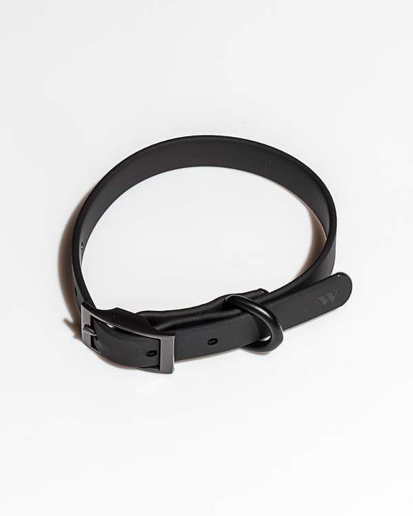 media image for Collar in Various Sizes & Colors 282
