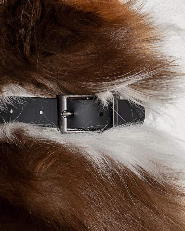 media image for Collar in Various Sizes & Colors 282