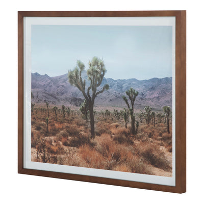 product image for Desert Land Framed Print 2 41