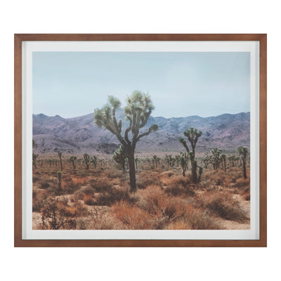 product image of Desert Land Framed Print 1 553